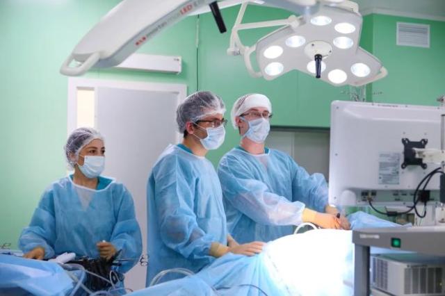 В Боткинской больнице провели почти 400 трансплантаций органов и тканей