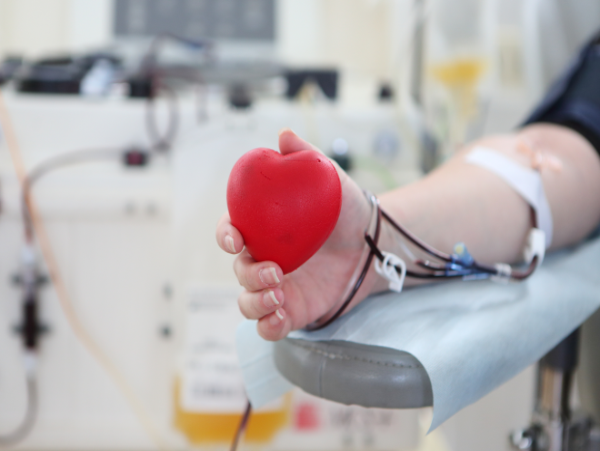 Благодаря новому оборудованию Москва увеличит стратегический запас компонентов донорской крови