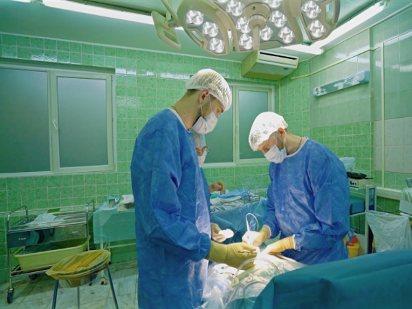 В перинатальном центре больницы №24 начали проводить сложнейшие внутриутробные операции